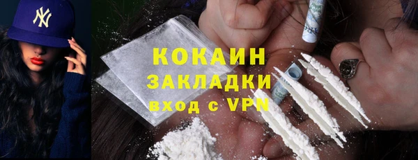 крисы Алзамай