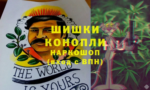 молекула духа Абинск