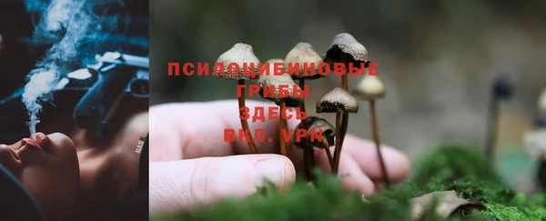 не бодяженный Абдулино