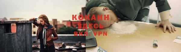 не бодяженный Алексин
